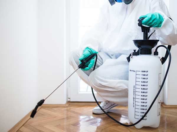 Exterminator-in-workwear-spraying-pesticide-with-sprayer Exterminator-in-workwear-spraying-pesticide-with-sprayer