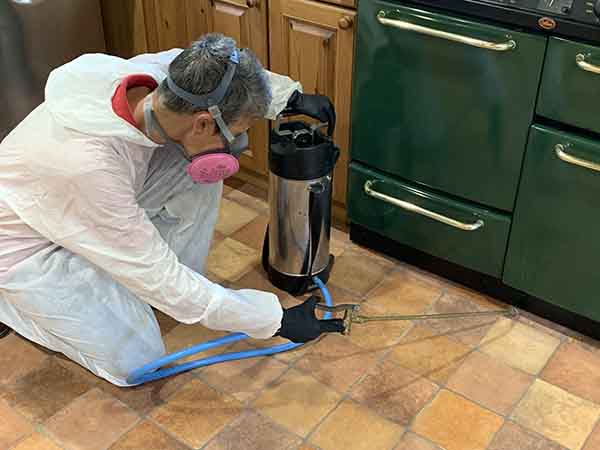 domestic Domestic pest control